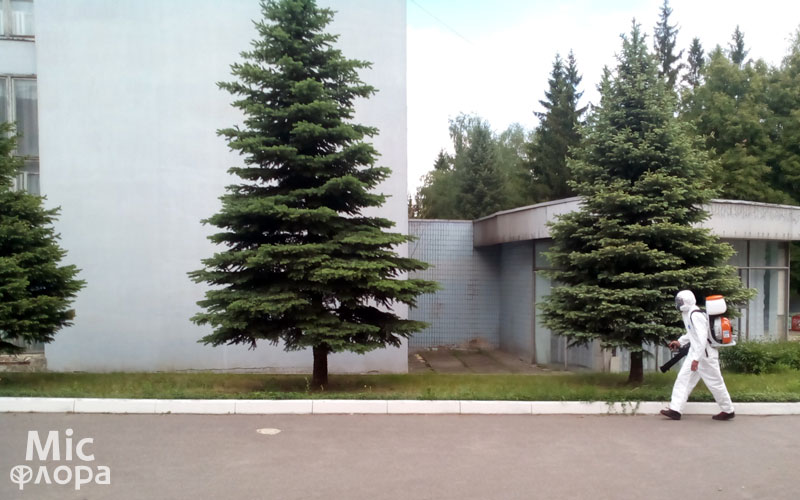 Хімічні обробки Садівник з мотообприскувачем
