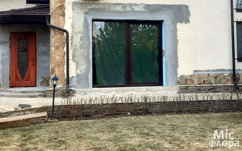 Фото 3 Обрізка кущів бірючини