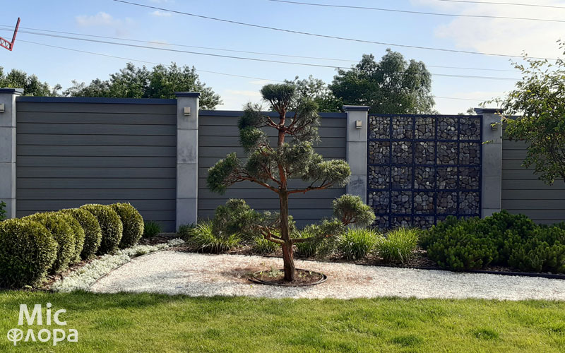 Восстановление ниваки