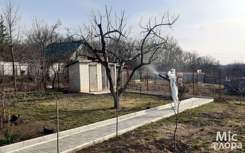 Фото 1 Обприскування саду навесні