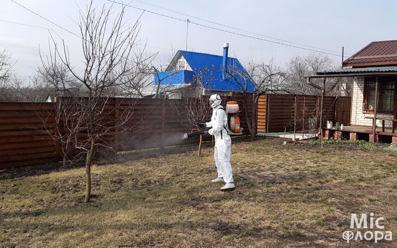 Фото 3 Обробка дерев мідний купорос