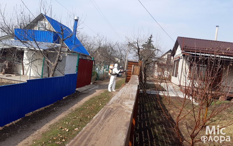 Фото 4 Бордоська суміш обробка